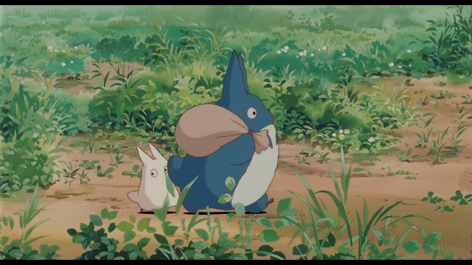 totoro-SS-C-320-BD.jpg